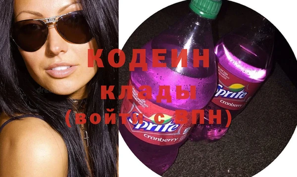 МДПВ Вяземский