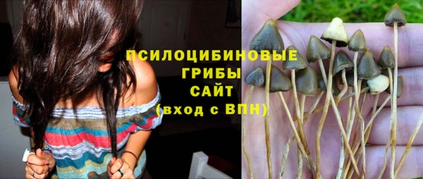 МДПВ Вяземский
