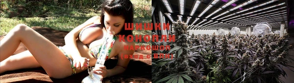 ECSTASY Вязники