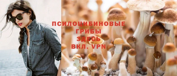 МДПВ Вяземский