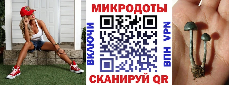 Псилоцибиновые грибы прущие грибы  Петрозаводск 